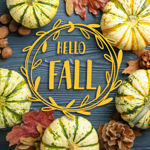 a "hello fall" stock image from canva
