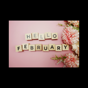 Hello February alphabet letter blocks with space copy and pink carnations on pink background.